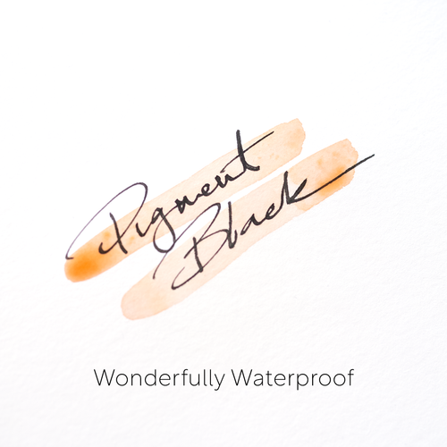 Fountain Pen Ink - 60 Pigment Black