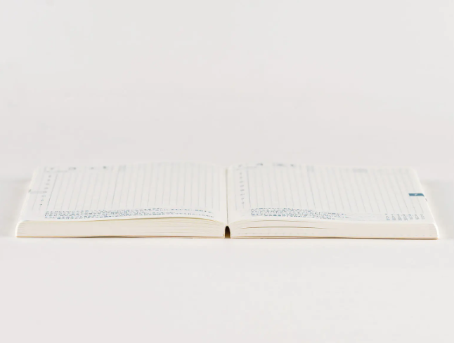 Hobonichi Techo Orginal A6