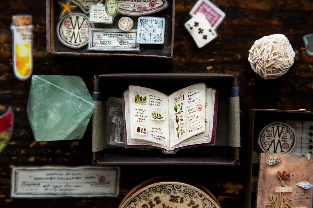 OURS Journal - Desk of Botanist - PET Tape